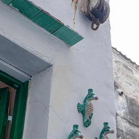 Il Moscardino Vico Equense